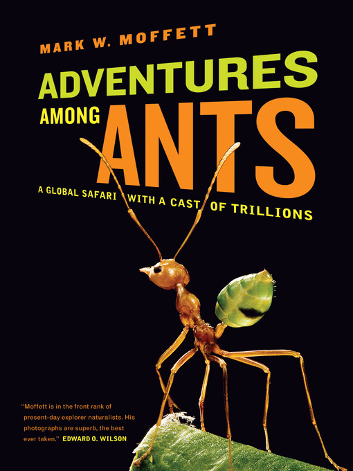 Title details for Adventures among Ants by Mark W. Moffett - Available